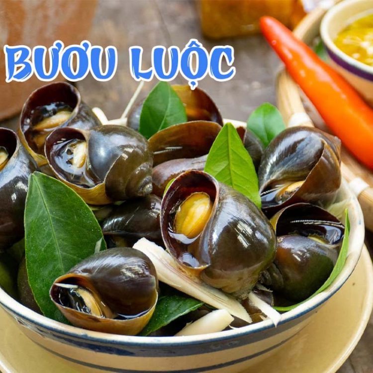 Ốc bươu luộc