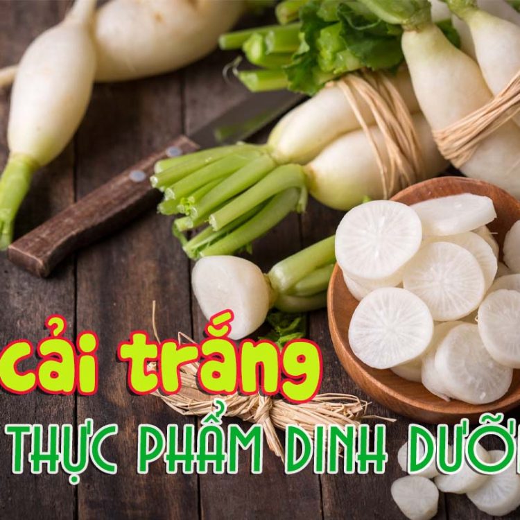 Củ cải trắng - siêu thực phẩm dinh dưỡng của Việt Nam