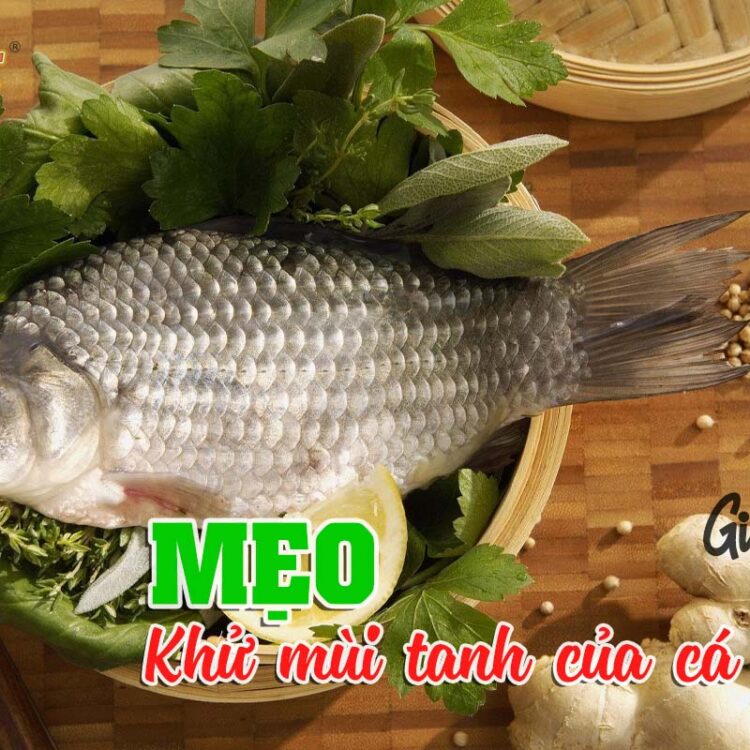 Meo-cuc-hay-giup-khu-mui-tanh-cua-ca